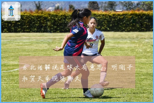 东北话解说足球太有意思，听刚子和贺天举现场聊天