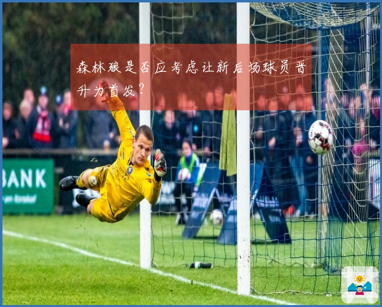 森林狼是否应考虑让新后场球员晋升为首发？