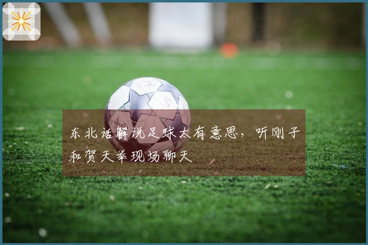 东北话解说足球太有意思，听刚子和贺天举现场聊天